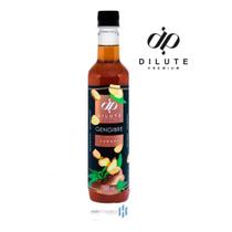 Xarope Dilute Essencia Soda Italiana Drinks 500ml Gengibre