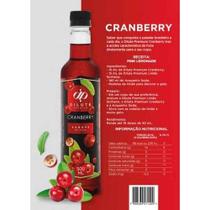 Xarope Dilute Premium Soda Italiana Vários Sabores 500ml - Super Linha Premium Mais Tempero