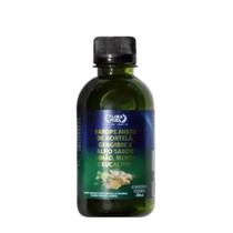 Xarope hortela,gengibre,alho 200ml flora pura