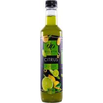 Xarope Para Soda Italiana Dilute Premiun 500ml Essências Para Gin Original (BLUE CURAÇAU) Xarope Para Soda Italiana Dilute Premiun 500ml Essências Para Gin Original (BLUE CURAÇAU)