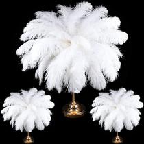 XunYee 60 plumas grandes de avestruz blancas 45-50 cm XunYee 60 plumas grandes de avestruz blancas 45-50 cm