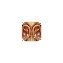 YANCHUN 5 Pares de Brincos Ear Cuff Prateados Sem Furo YANCHUN 5 Pares de Brincos Ear Cuff Prateados Sem Furo