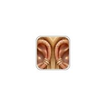 YANCHUN 5 Pares de Ear Cuffs Banhados a Ouro 14K, Sem Furo YANCHUN 5 Pares de Ear Cuffs Banhados a Ouro 14K, Sem Furo
