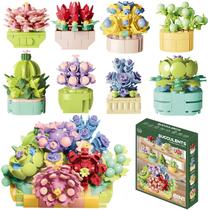 YCJZXMS Blocos de Montar de Plantas Suculentas, Kit com 8 Unidades
