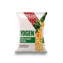 Yogen k40 1kg