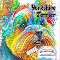 Yorkshire Terrier Yorkshire Terrier