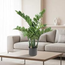 Zamioculca Artificial Planta Realista Para Decoração Sala Com 85cm. Zamioculca Artificial Planta Realista Para Decoração Sala Com 85cm.