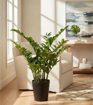 Zamioculca Artificial Realista 1m Planta Permanente para Decoração de Sala
