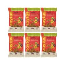 Zaytas Protein Pizza 12g Proteina Com Colageno Kit 6 Snack Fit 35g Zaya