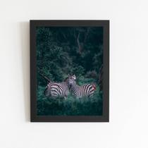 Zebras Floresta Natureza Foto Quadro Moldura Preta 60x40cm Zebras Floresta Natureza Foto Quadro Moldura Preta 60x40cm
