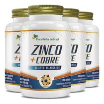 Zinco e Cobre 4 X 60 Cápsulas Flora Nativa