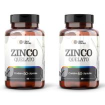 Zinco Quelato 500mg 60 Caps Imunidade E Ação Antioxidante - 2 POTES Zinco Quelato 500mg 60 Caps Imunidade E Ação Antioxidante - 2 POTES