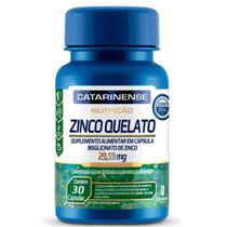 Zinco Quelato Cat Nutrição Catarinense 30 Cps