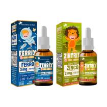 ZINTRIX 20ml + FERRIX 20ml Sabor Morango KIDS - Flora Nativa ZINTRIX 20ml + FERRIX 20ml Sabor Morango KIDS - Flora Nativa
