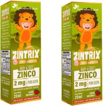 Zintrix Kids zinco em gotas 20 ml Flora Nativa kit com 2 unidades Zintrix Kids zinco em gotas 20 ml Flora Nativa kit com 2 unidades