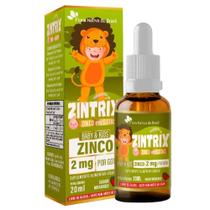Zintrix kids zinco gts 20ml sab morango flora nativa