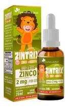 Zintrix Zinco Em Gotas Baby & Kids 2mg Por Gota 20ml