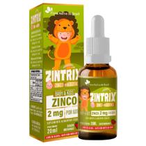 Zintrix Zinco Em Gotas Kids- 20ml Flora Nativa Sabor Morango Zintrix Zinco Em Gotas Kids- 20ml Flora Nativa Sabor Morango