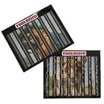 Zoológico Em Pvc. B+ Zoológico Em Pvc. B+