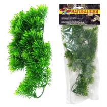 Zoomed planta plastica borneo star gr bu-37 - un Zoomed planta plastica borneo star gr bu-37 - un