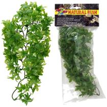 Zoomed planta plastica congo lvy bu-32 56cm - un Zoomed planta plastica congo lvy bu-32 56cm - un