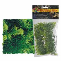 Zoomed planta plastica malaysian fern pq bu-13 - un