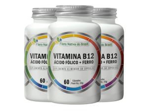 3 Ácido Fólico + Metilcobalamina B12 + Ferro 60 Caps 500mg
