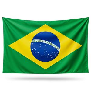 Bandeira Do Brasil Oficial Grande Dupla Face 1,20 X 1,75 M Poliéster Copa Do Mundo