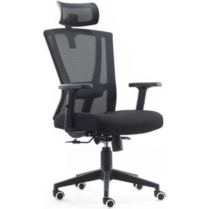 Cadeira de Escritório Presidente Ergonômica NR17 Akira Duoffice DU388  Cadeira de escritório presid