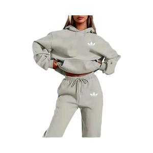 Conjunto De Moletom Feminino Com Capuz De Pelúcia, Estilo Hip Hop Casual, 2 Peças, Com Estampa De