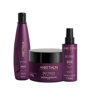 Kit Aneethun No Frizz System Shampoo + máscara + leave in selante