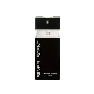 Perfume masculino silver scent 100ml edt