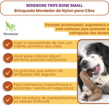 Imagem de Benebone Tripe Bone Small - Brinquedo Mordedor de Nylon para Cães