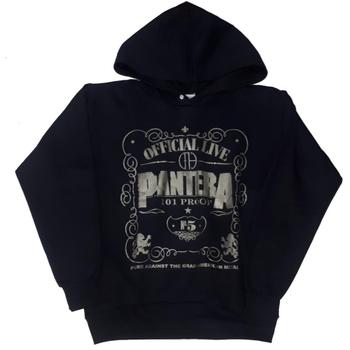 Imagem de Blusa de frio Moletom Unissex Banda de Rock Pantera KG766 RCH