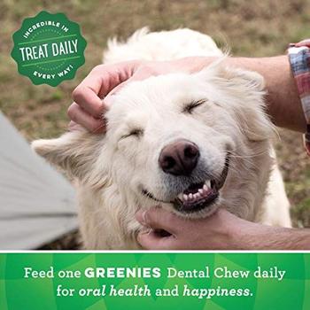 Imagem de Greenies Blueberry Natural Dental Dog Treats, 12oz Packs