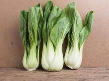 Imagem de Pak Choi Mini Yoko - 1gr De Sementes Hortaliça Oriental