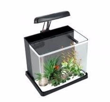 Aquario Mini Boyu Me - 300 Com Led  16l Preto 220v