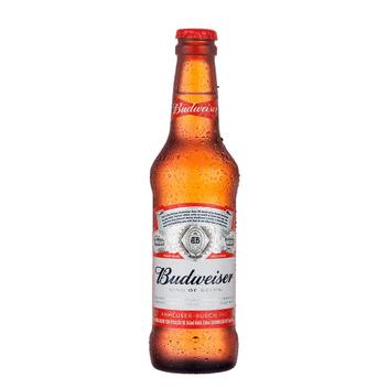 Cerveja Budweiser 330ml