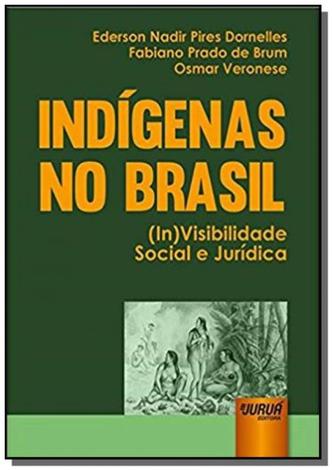 Indigenas no brasil - (in)visibilidade social e ju - Jurua