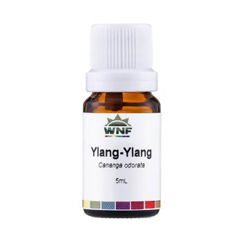 Óleo Essencial de Ylang Ylang 5ml WNF