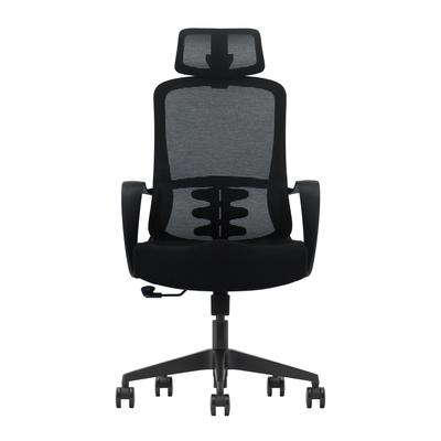 Cadeira Ergonômica Escritório Ergo Basic Giratória com Encosto Reclinável 120, Suporte Lombar e Apoio de Cabeça 2D GK8 BH