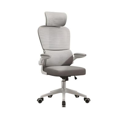 Cadeira Escritório Ergonômica Genebra B500 e G500 Luvinco Cor Cinza Com Suporte Lombar Estofado Mesh