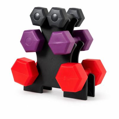 Kit Halter 12kg 3 Pares De Halteres de 1 Kg A 3 Kg Com Suporte Treino e Musculação Em Casa