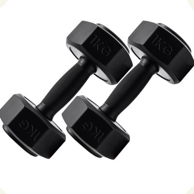 Par de Halter Sextavado Treino em Casa Academia Peso 1Kg cada Emborrachado Musculação