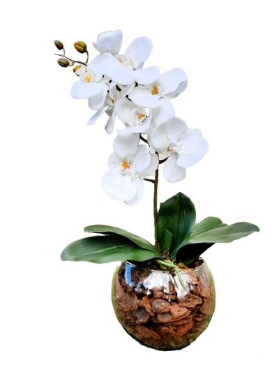 Arranjo de Orquídea Artificial Branca de Silicone Com Vaso de Vidro Oval |  Magalu Empresas | B2B e compras com CNPJ