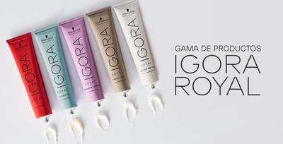 Schwarzkopf Igora Royal Coloração 8/77 Louro Claro Cobre Extra 60ml - Tinta  de Cabelo - Magazine Luiza