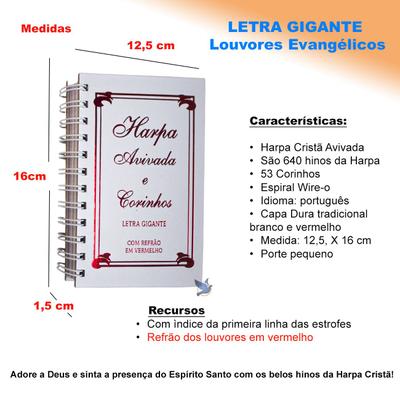 Harpa Cristã Espiral Letra Gigante - Modelo 3 - Floral Rosa - Outros Livros  - Magazine Luiza