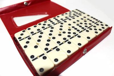 Domino Profissional De Osso Estojo Com 28 Peças 8mm