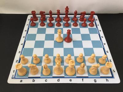 Jogo De Xadrez E Damas 2 Em 1 Profissional Hoyle Games Tabuleiro Grande  39x39cm Peças Em Madeira Com 2 Gavetas - Faz a Boa!