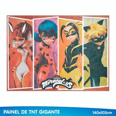 Miraculous as aventuras de Ladybug e Cat noir  Imagem em png, Decoração de  aniversario ladybug, Aniversário ladybug